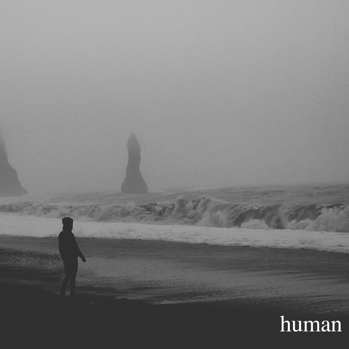Human cover art